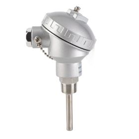 RTD PT100 Temperature Sensor Probe 1/2" NPT Thread Thermocouple Terminal Head(PT 100mm) (Option: 50mm)